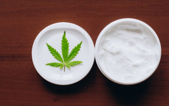 How to buy the quality CBD Salve product?