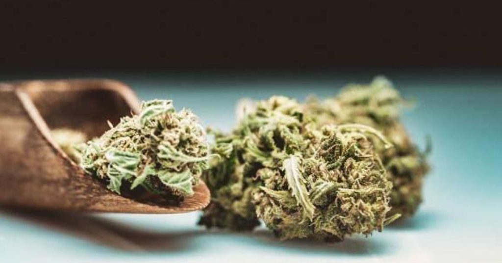 toronto cannabis delivery