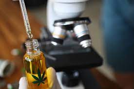 TINCTURES ARE PERFECT FOR THOSE WHO WANT TO ENJOY THE BENEFITS OF THC WITHOUT SMOKING