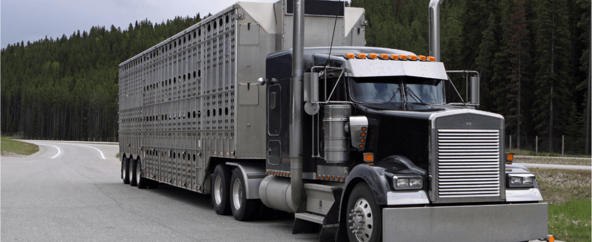 Flexible Hauling Services for Efficient Freight Transport and Delivery Solutions